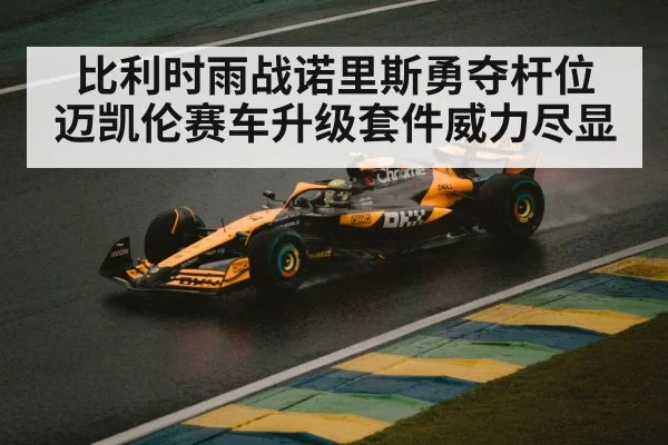 比利时雨战诺里斯勇夺杆位 迈凯伦赛车升级套件威力尽显