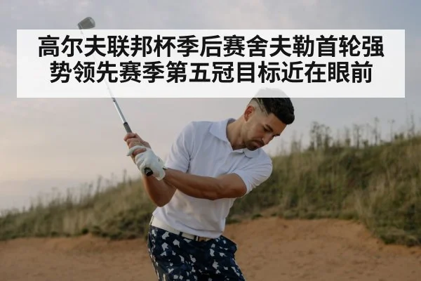 高尔夫联邦杯季后赛舍夫勒首轮强势领先赛季第五冠目标近在眼前