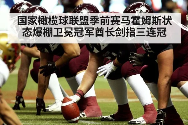 American football offensive line