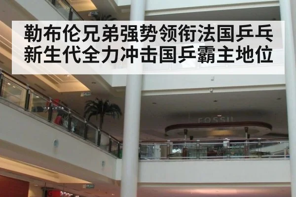 勒布伦兄弟强势领衔法国乒乓新生代全力冲击国乒霸主地位