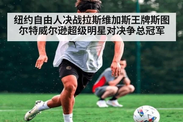 纽约自由人决战拉斯维加斯王牌斯图尔特威尔逊超级明星对决争总冠军